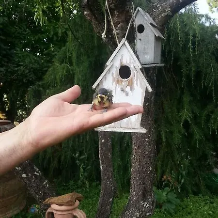 Casale Il Colombaio Di Toiano Casa rural *