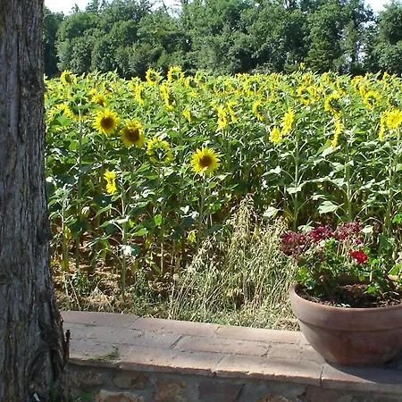 Casale Il Colombaio Di Toiano Casa rural *