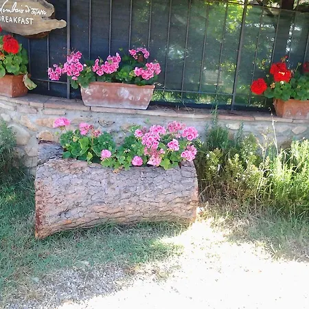 Casale Il Colombaio Di Toiano Casa rural