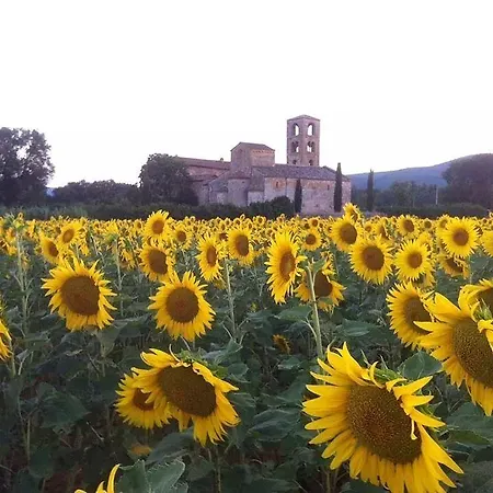 Casale Il Colombaio Di Toiano *